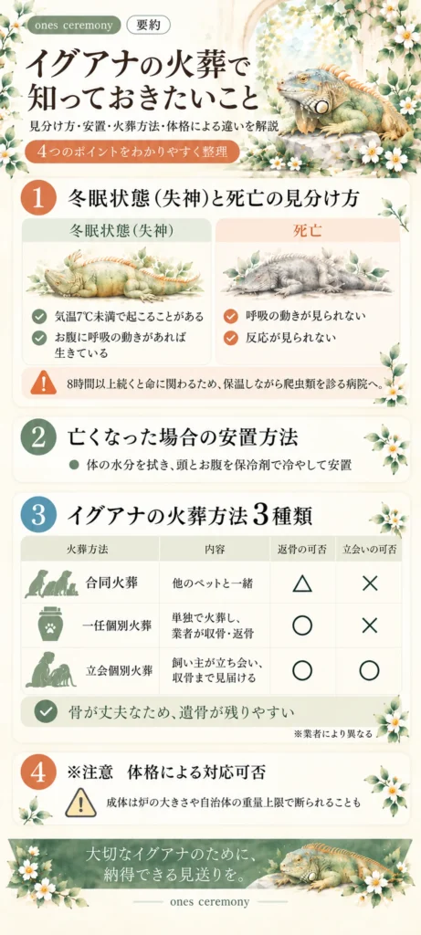 イグアナの火葬で知っておきたい冬眠状態と死亡の見分け方、安置方法、火葬方法3種類、体格による対応可否をまとめた図解