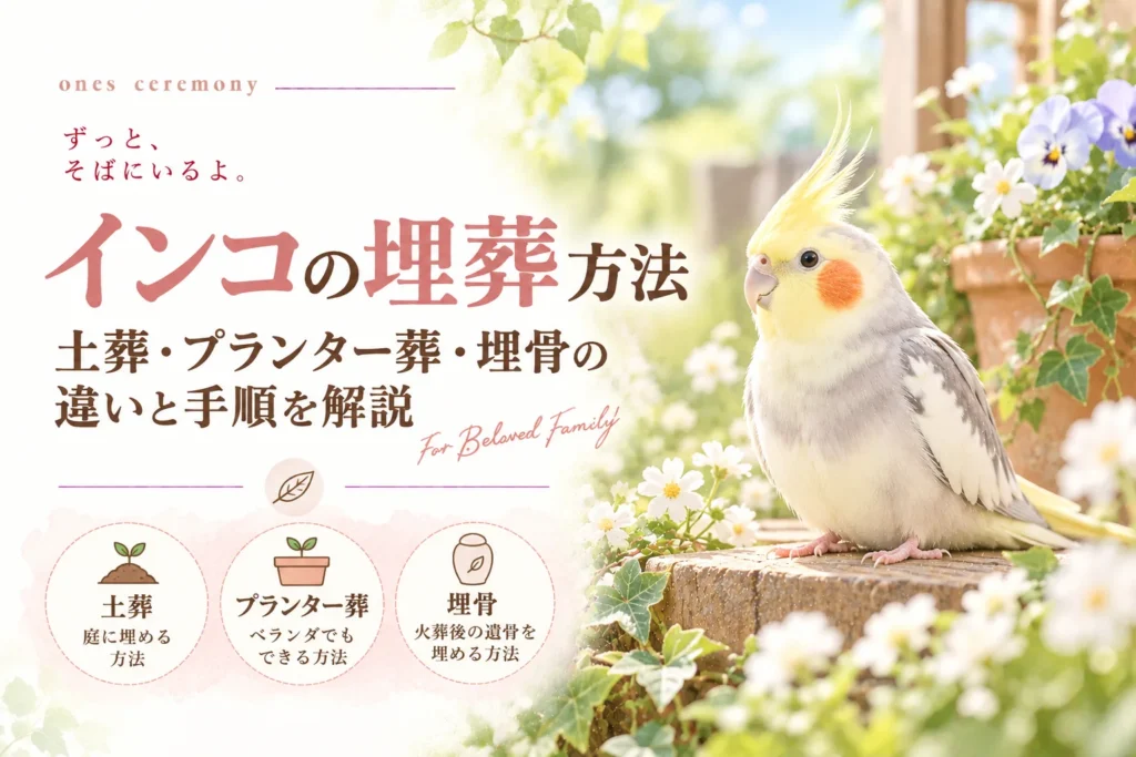 インコの埋葬方法として、土葬・プランター葬・埋骨の3種類を紹介。黄色い冠羽とオレンジ色の頬を持つオカメインコが木製の台に座り、周囲には白い花や緑の葉、テラコッタの植木鉢が並ぶ。柔らかな自然光に包まれた穏やかな水彩風景。