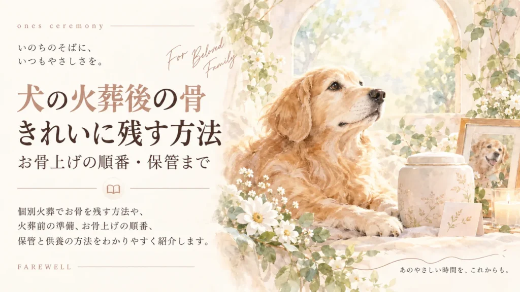 犬の火葬後の骨をきれいに残す方法や、お骨上げの順番・保管について紹介する記事のアイキャッチ。柔らかな光が差し込む窓辺に、穏やかな表情の犬と骨壷、写真立て、白い花やキャンドルを水彩タッチで描いている。