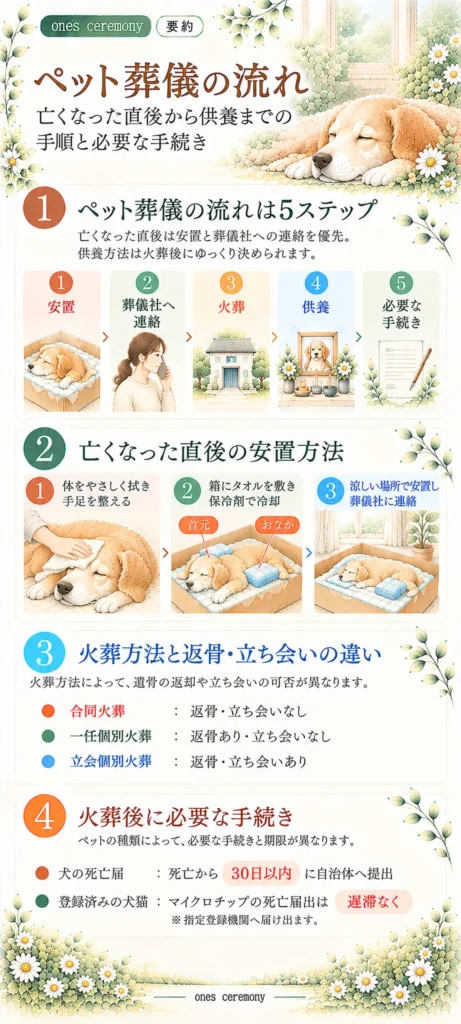 ペット葬儀の流れを5ステップで紹介する図解。亡くなった直後の安置方法、葬儀社への連絡、火葬、供養、必要な手続きと届出期限を解説。