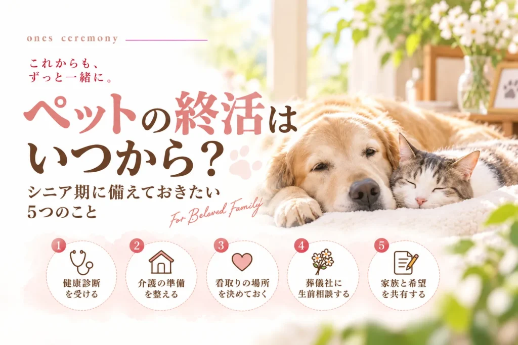 ペットの終活をいつから始めるか、シニア期に備えたい5つの準備を紹介。柔らかな日差しの入る室内で、ゴールデンレトリバーと白茶の猫が寄り添って眠り、下部には健康診断・介護の準備・看取りの場所・葬儀社への生前相談・家族との希望共有を表す5つの丸いアイコンが並ぶ。