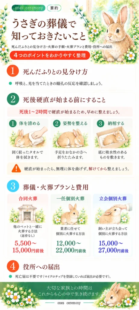 うさぎの葬儀について、死んだふりとの見分け方、死後硬直が始まる前にすること、火葬プランと費用、役所への届出をまとめた図解