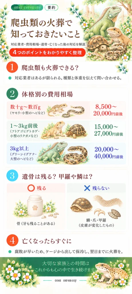 爬虫類の火葬について、対応業者、体格別の費用相場、遺骨や甲羅・鱗が残るか、亡くなった直後の対応をまとめた図解