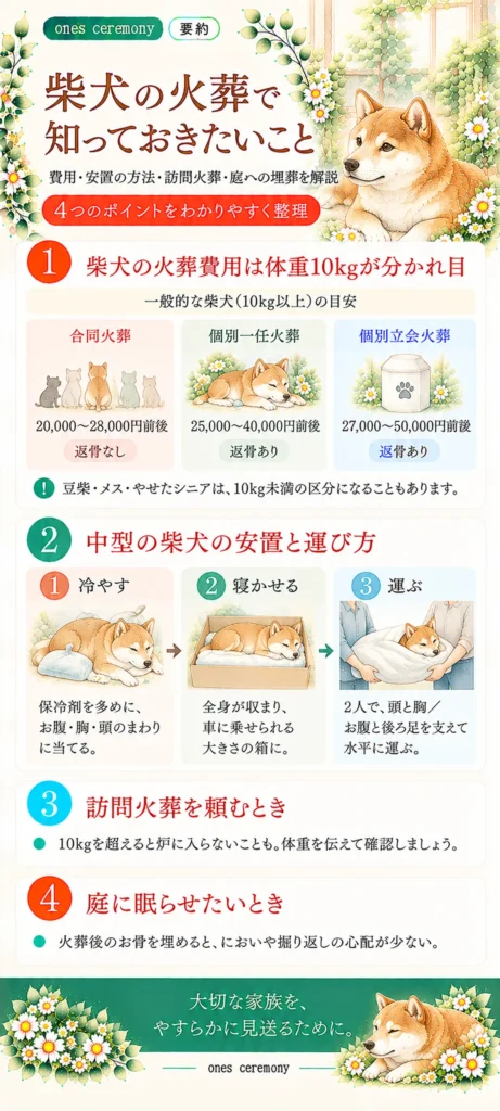 柴犬の火葬費用について、体重10kgを境にした料金の目安、合同火葬・個別火葬の費用比較、安置と運び方、訪問火葬の注意点、庭への埋葬についてまとめた図解