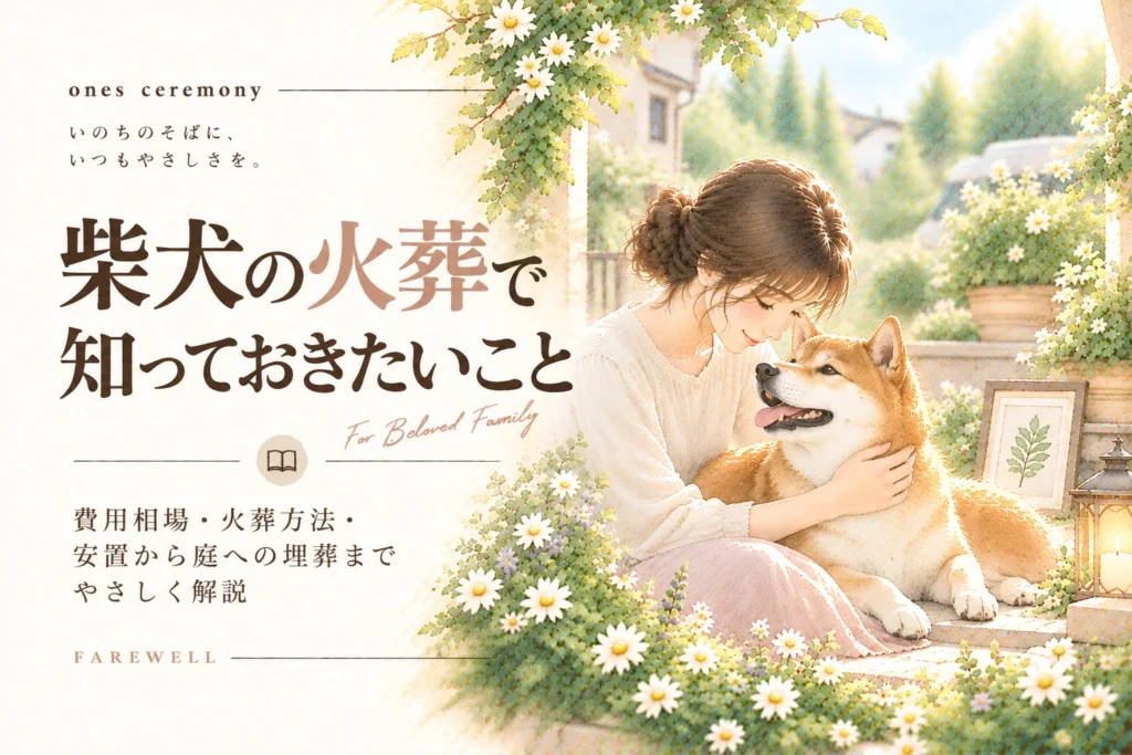 柴犬 火葬について伝える、白い花と自然光に包まれた柴犬と女性を描き、費用相場・火葬方法・安置や庭への埋葬までをまとめたアイキャッチ