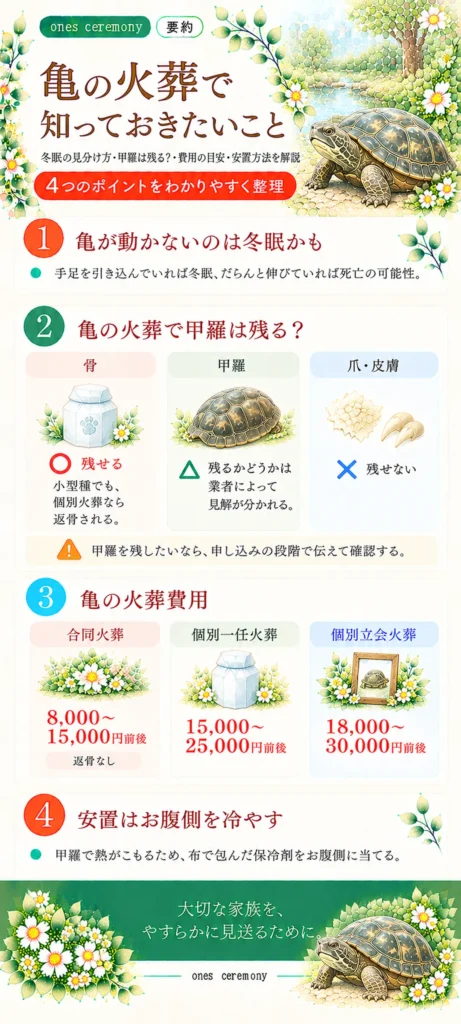 亀の火葬について、冬眠と死亡の見分け方、火葬後に骨・甲羅・爪や皮膚が残るか、火葬方法別の費用相場、安置時の冷やし方をまとめた図解