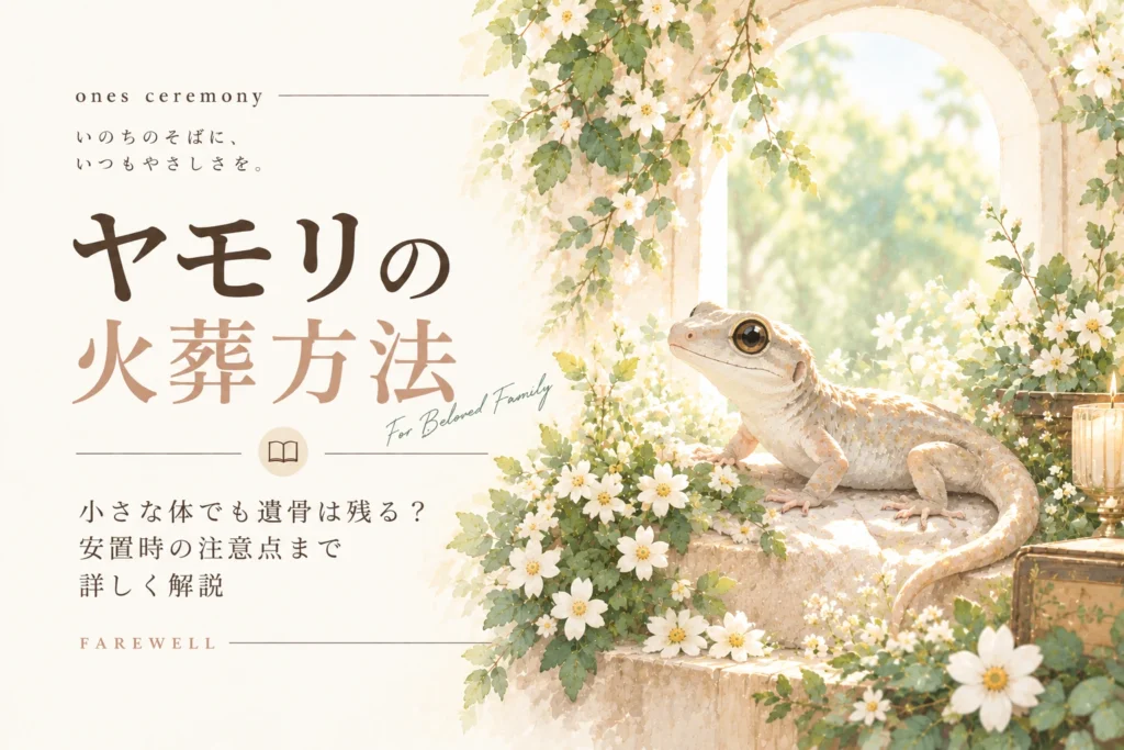 ヤモリ 火葬について伝える、白い花と柔らかな自然光に囲まれたヤモリと、小さな体でも遺骨が残るかや安置時の注意点をまとめたアイキャッチ